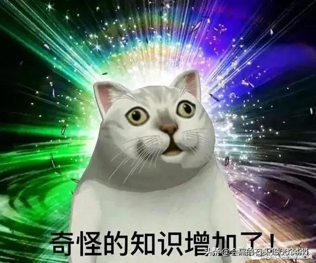 恐龙的十大特征,恐龙优势