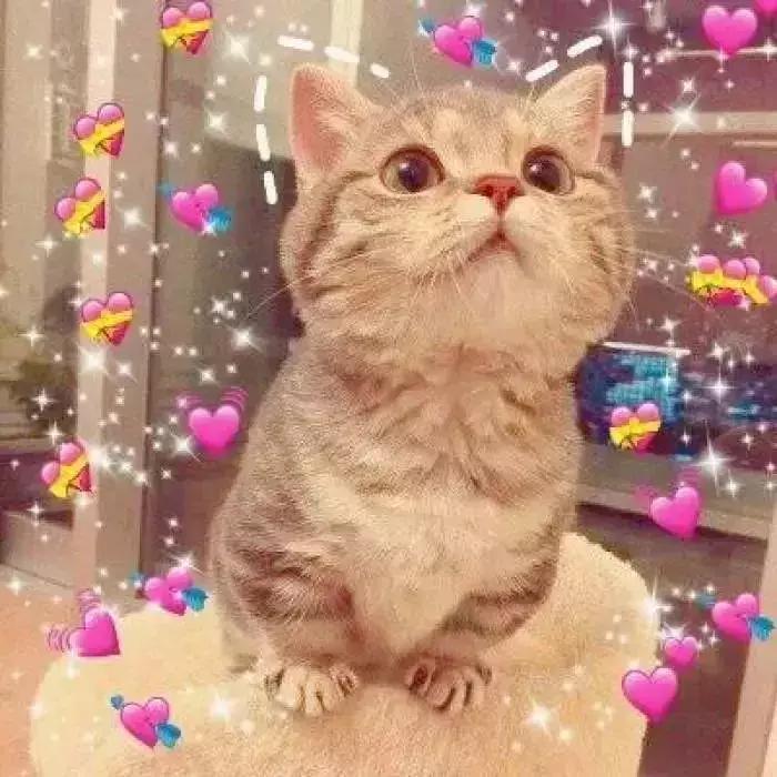 北京海淀区新建的公园,海淀新开放公园