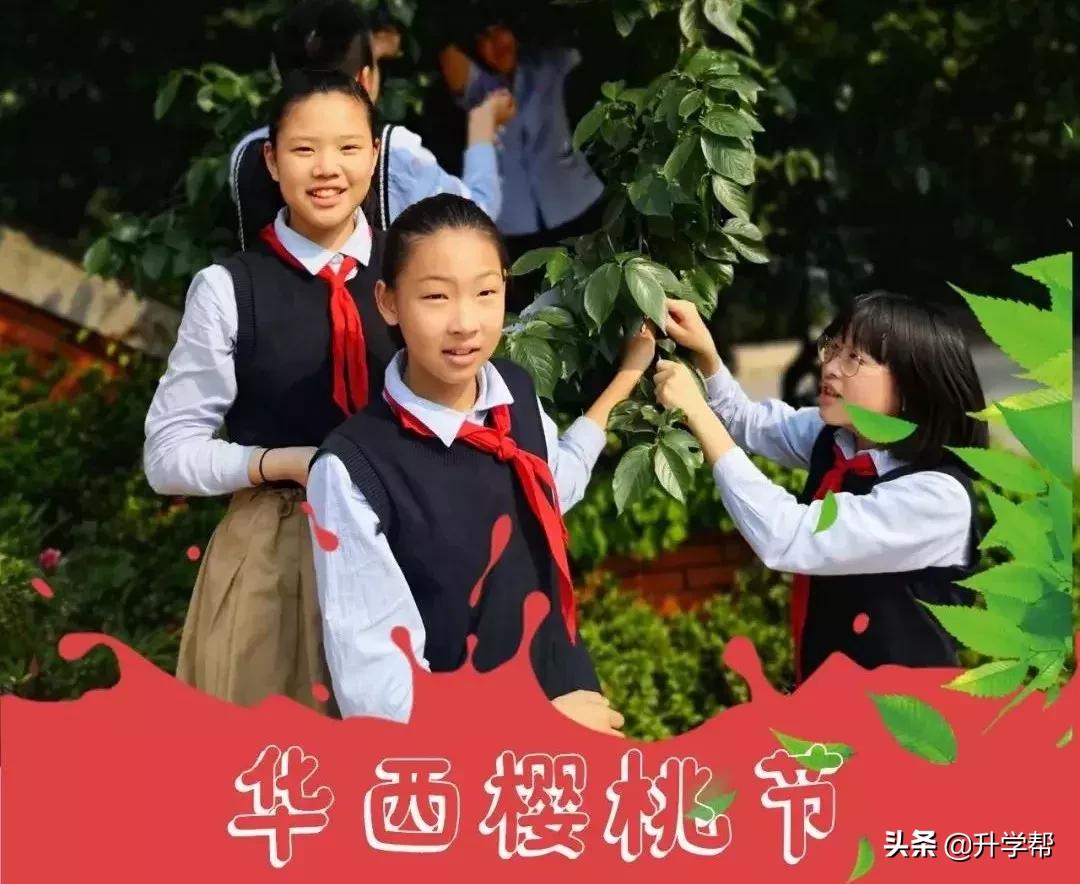 恩桃儿的视频,恩桃儿红了