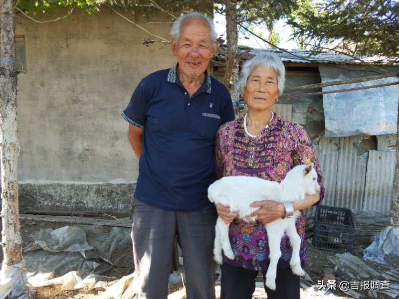 安图县明月镇河东村老人拉着奶羊卖现挤羊奶，成了市场一道风景！