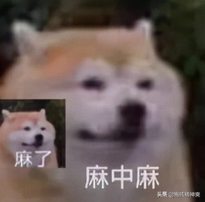 别人为什么可以随便拉我进群,有人拉我进群退群谁才能看得到