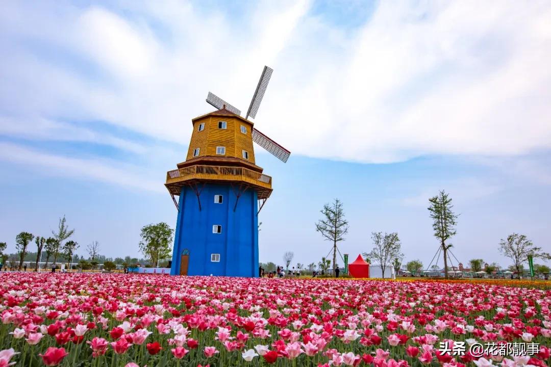 美丽泽州我的家,美丽我的家