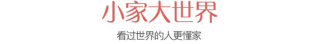 我和有钱人之间，就差一张白沙发了