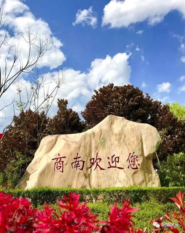 徐志顺陕西商南,徐志顺