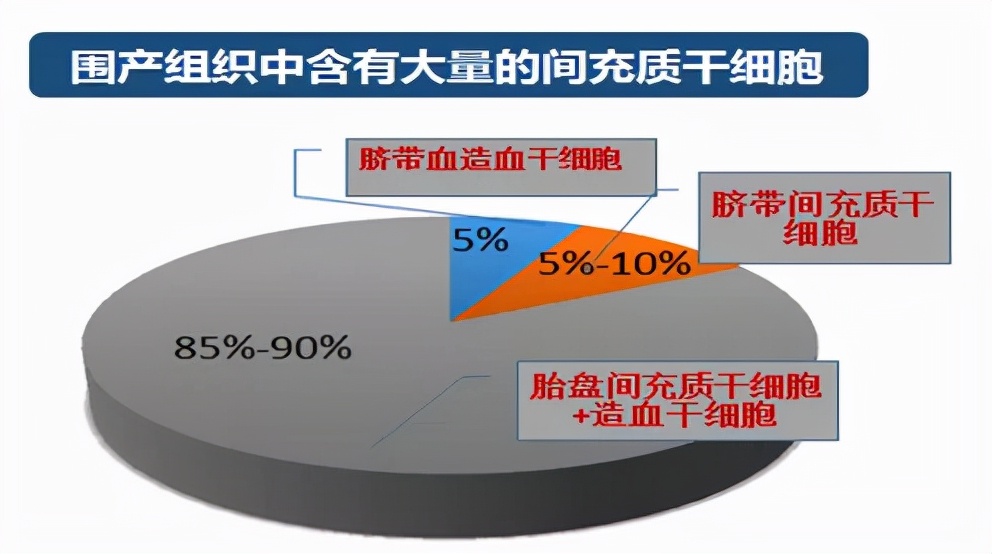 胎盘亚全能干细胞能否用于临床,胎盘干细胞对于再生医学的意义