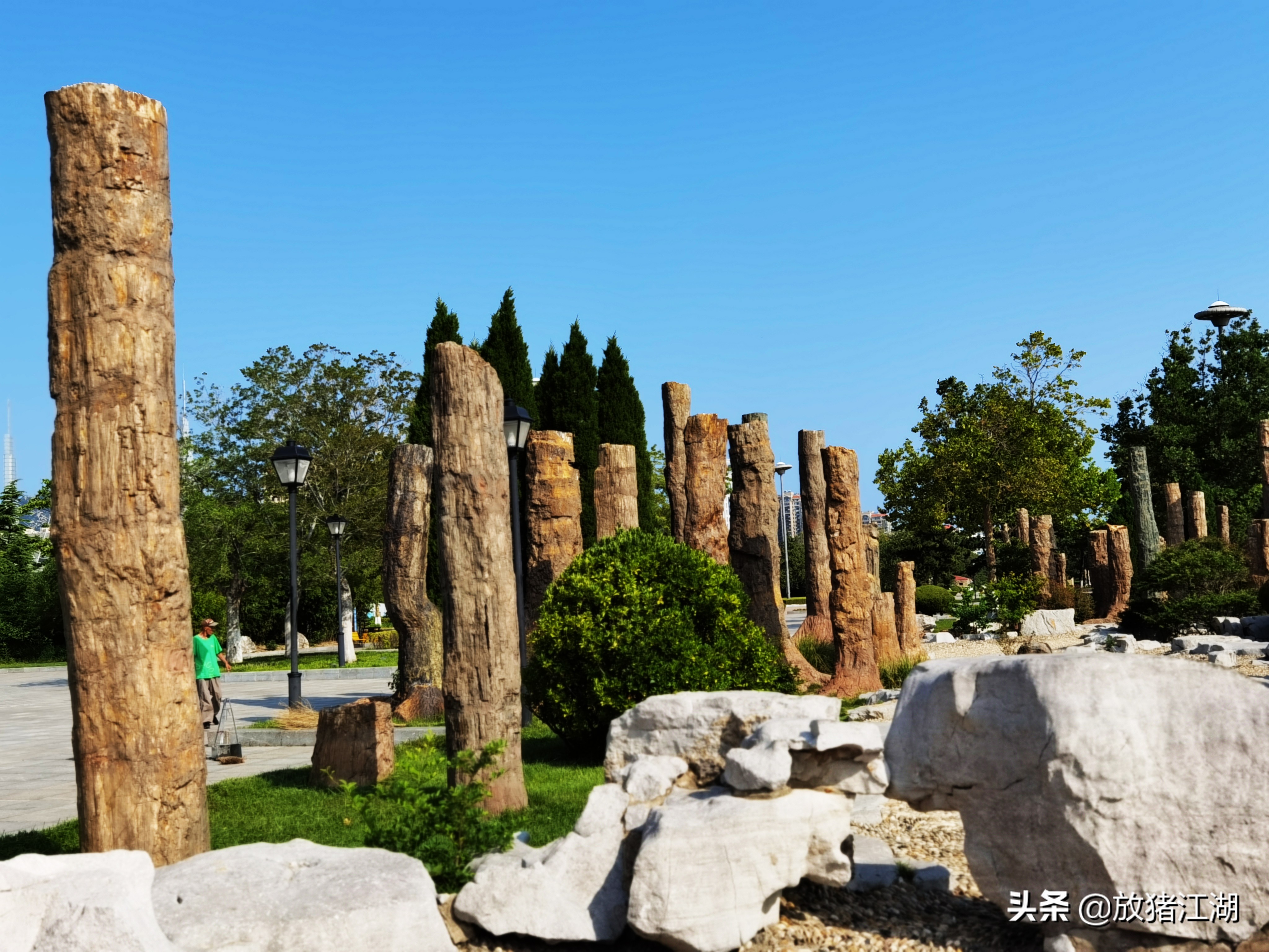 不要怀疑，威海公园中的这些木化石都是真品