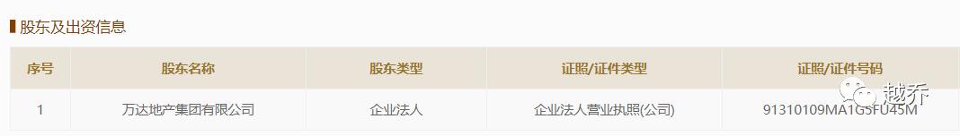 来了来了武汉,武汉万达文旅城施工进度
