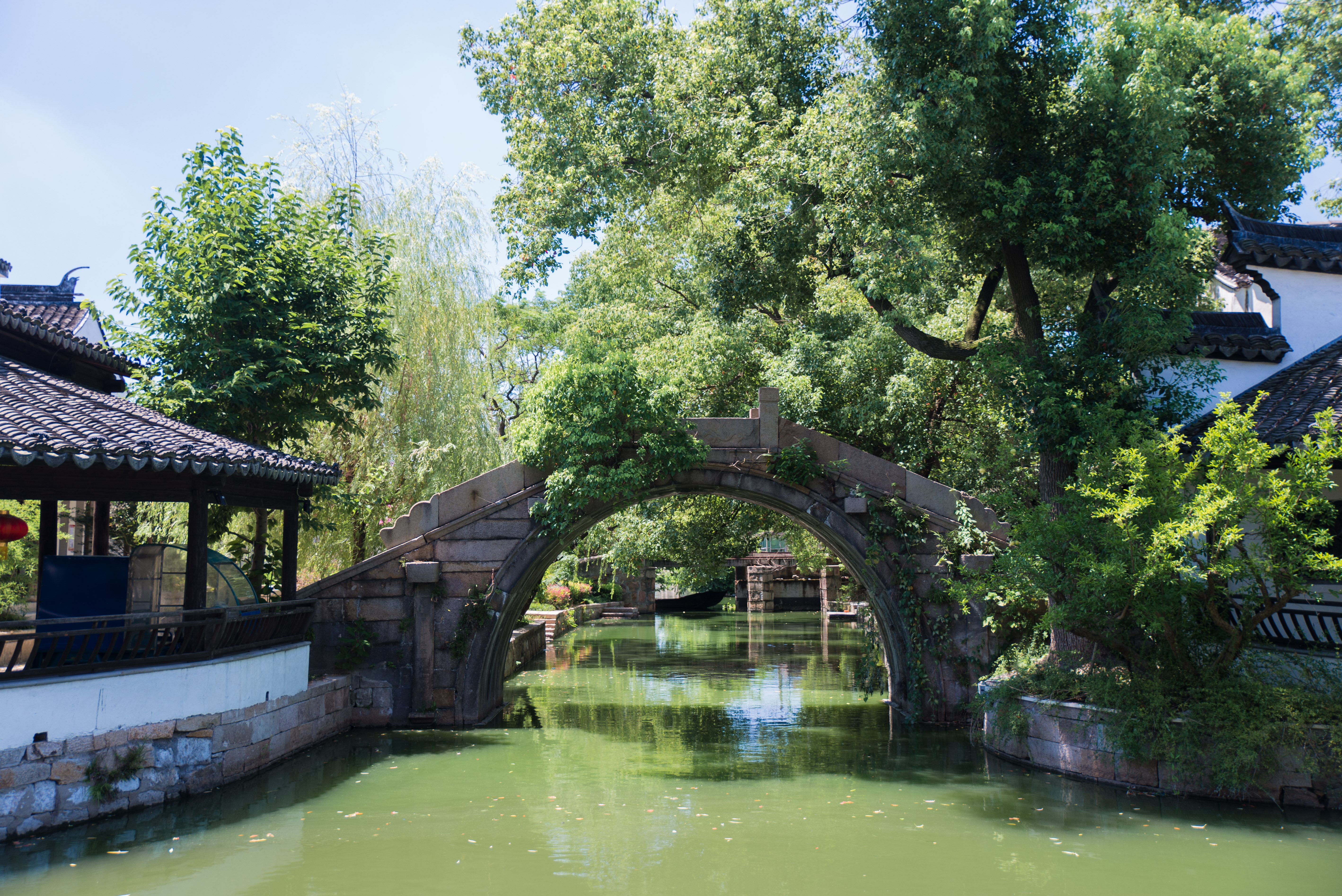 苏州小众古镇黎里，不收门票无商业化，距今893年