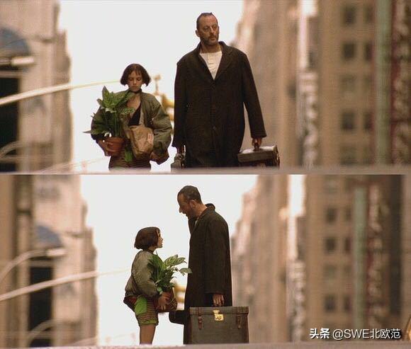 好养的北欧风大型绿植 (12款北欧风格绿植轻松打造ins风)