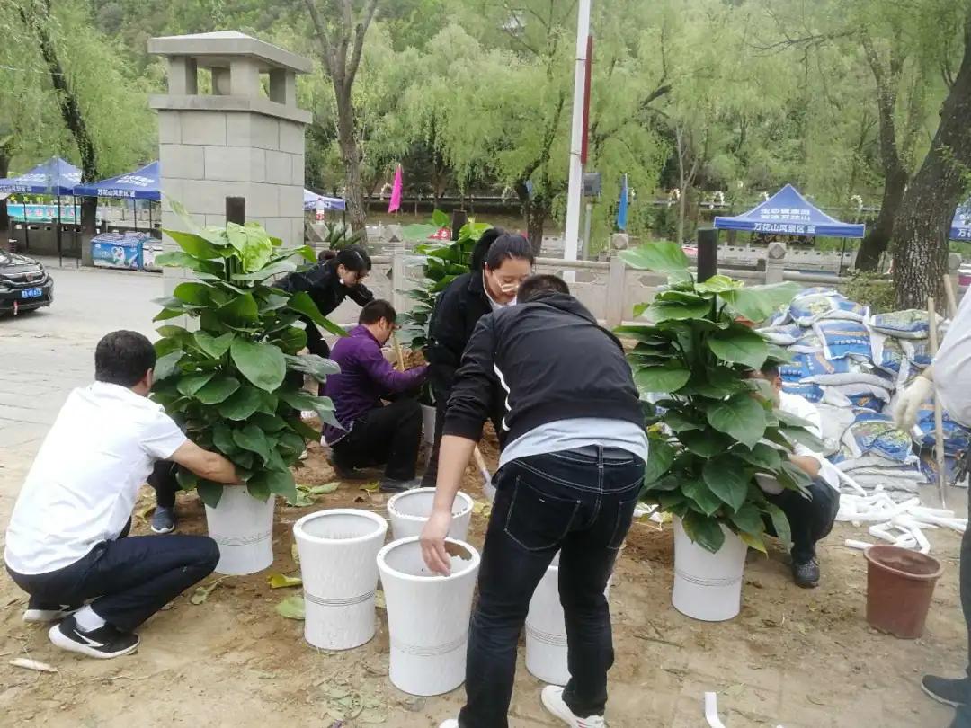 做好服务我们全力以赴,做好绿化养护工作