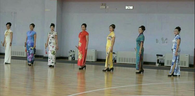 百合艺术团舞蹈视频,百合镇舞蹈队表演视频