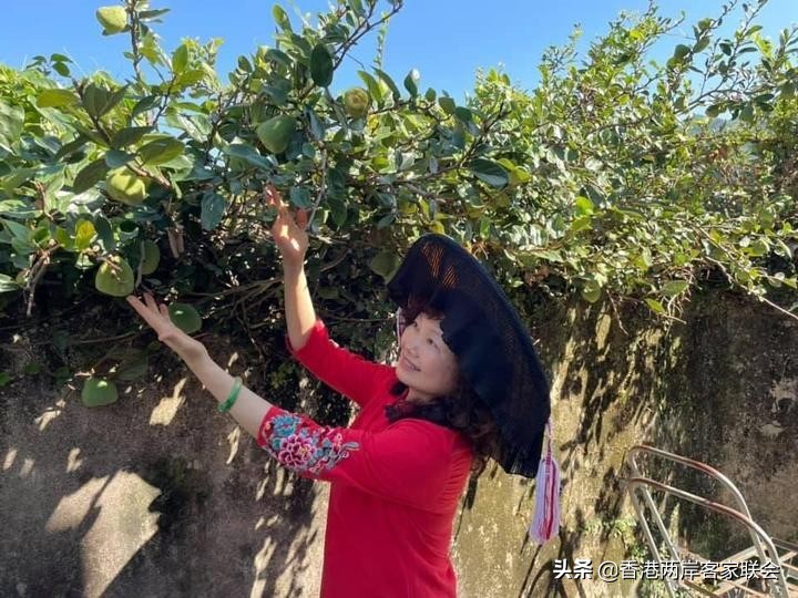 港台海外客家系列之七：客家山地百草园