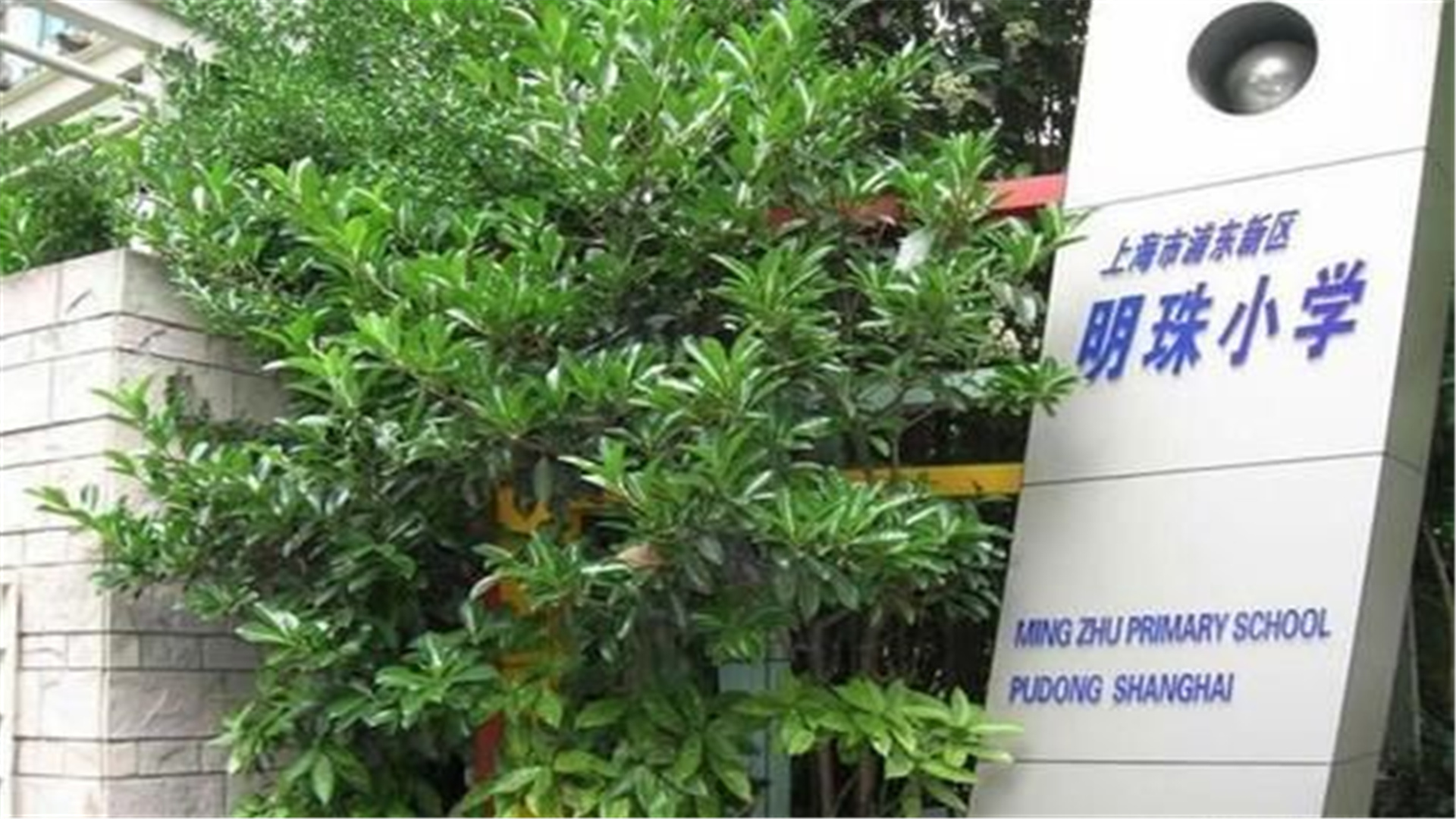 上海浦东明珠学校,上海浦东新区明珠小学排名