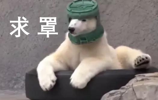 如何发表论文比较稳妥,如何把话说得滴水不漏