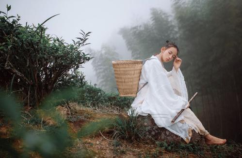 投桃报李是表达知恩图报的意思吗,中国古代知恩图报的经典故事