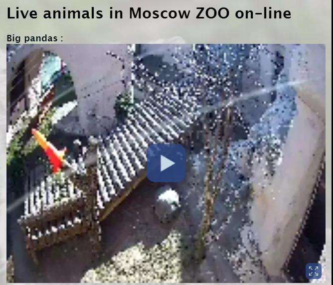 这些网站可以“云吸”动物园？爱宠人福利来了！（萌图暴击）