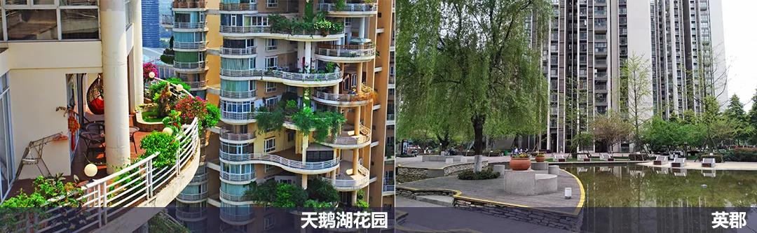 血泪教训30条,血泪换来的18个教训