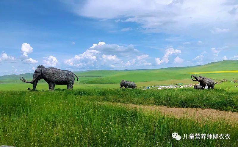 暑假内蒙古旅游攻略亲子,暑假亲子游玩内蒙古5天4夜