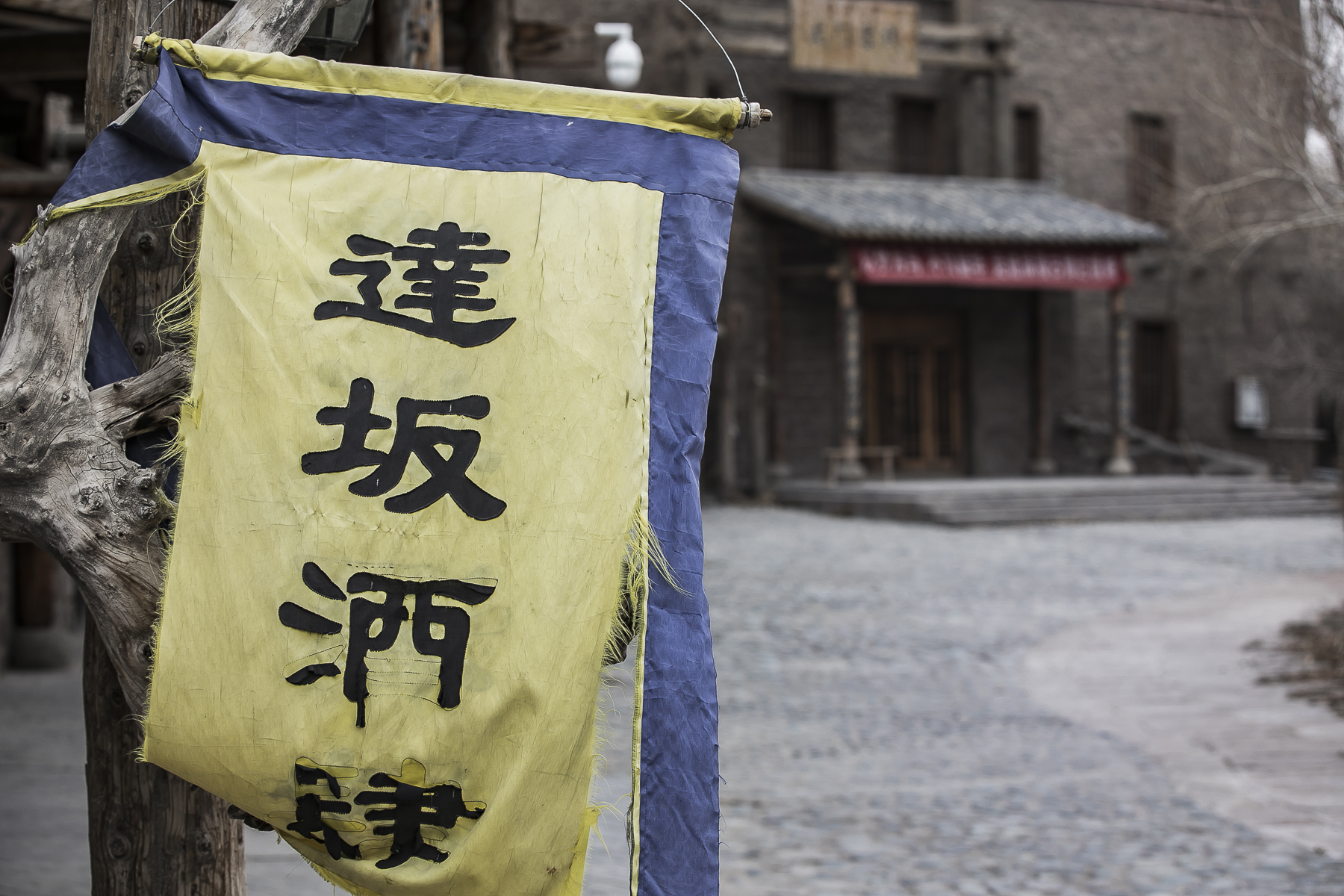 王洛宾写的达坂城姑娘美如画,王洛宾进新疆