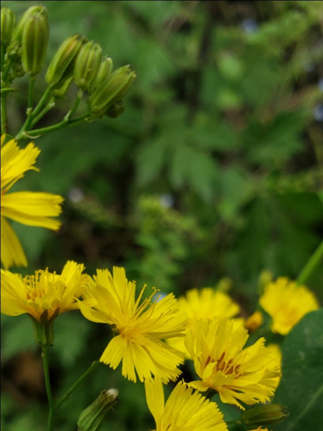 悠闲的时光惬意的生活,一个人的惬意时光诗词