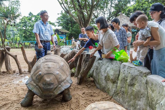 长隆飞鸟乐园湿地精灵,长隆飞鸟公园一日游攻略