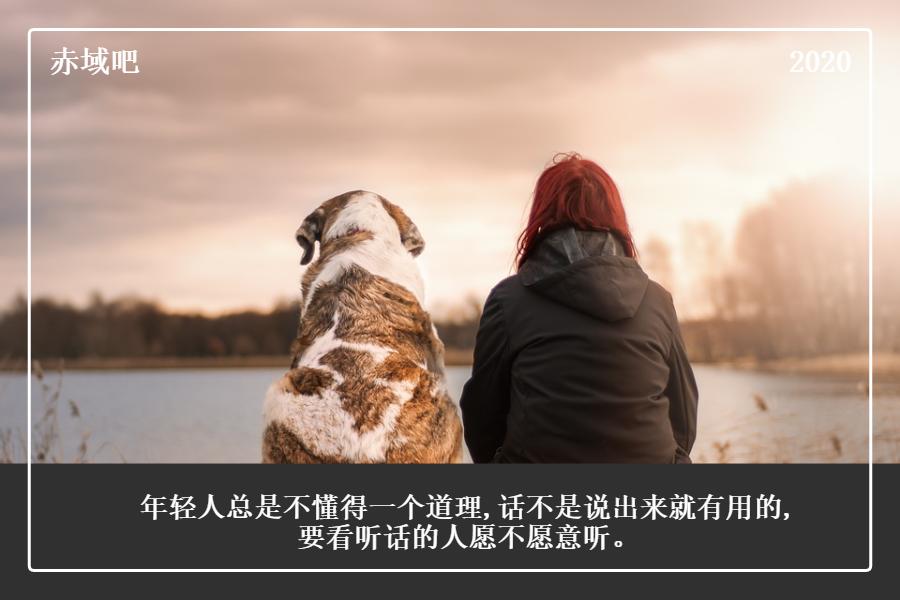 整点原版视频,整点视频最新版免费下载