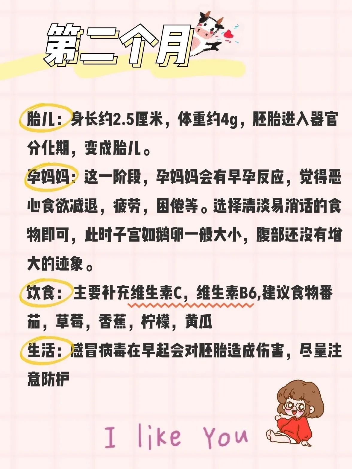 孕期注意事项视频教程,孕期注意事项及禁忌的app