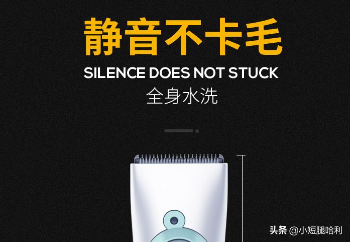 狗舍怎么养柯基,第一次养狗适合养柯基吗