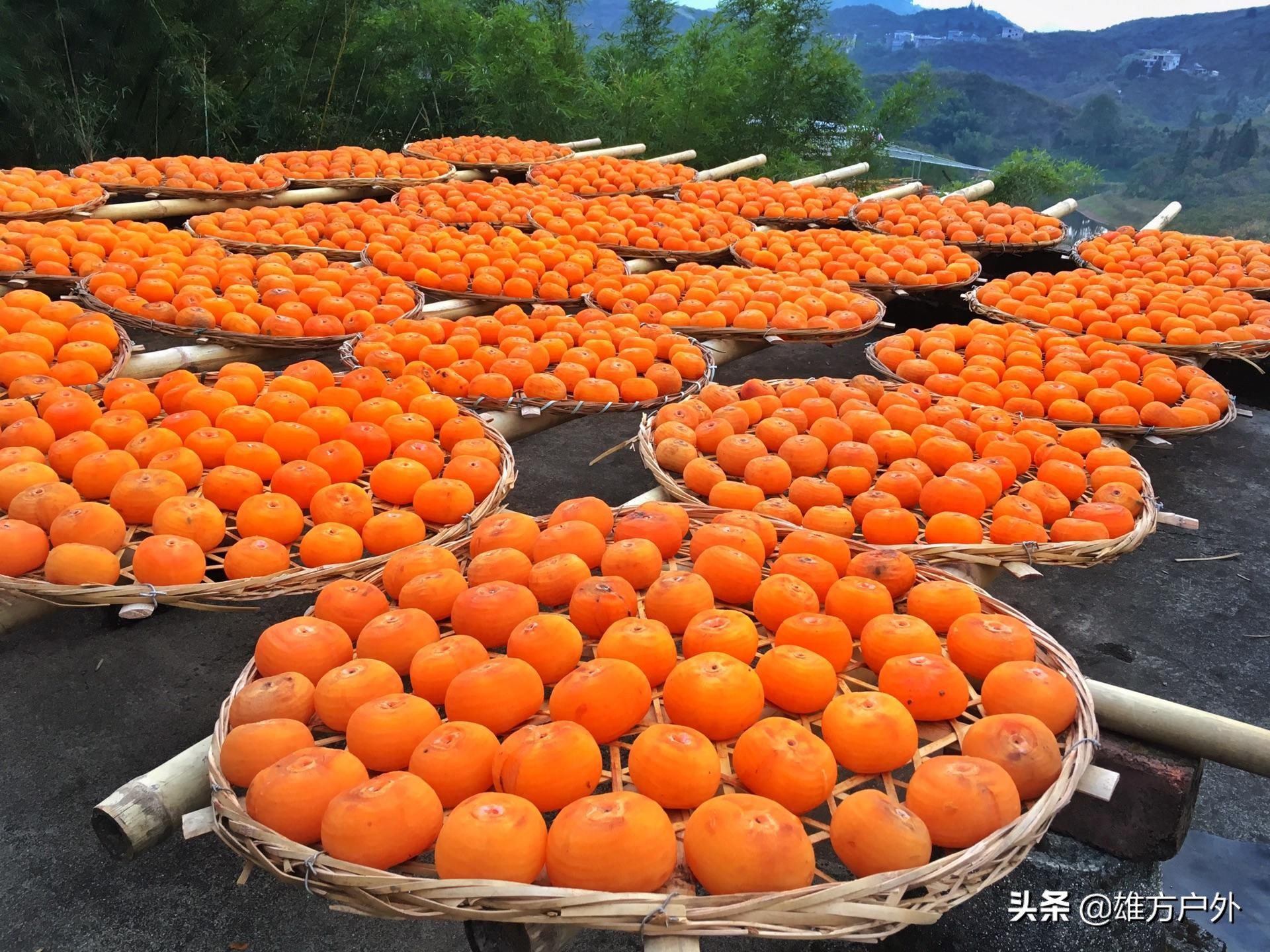 漓江兴坪古镇美景,兴坪古镇漓江游