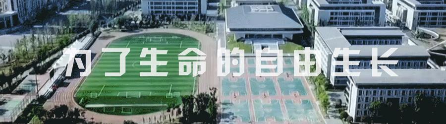 2023天府四中摇号率,天府四中初中部摇中率