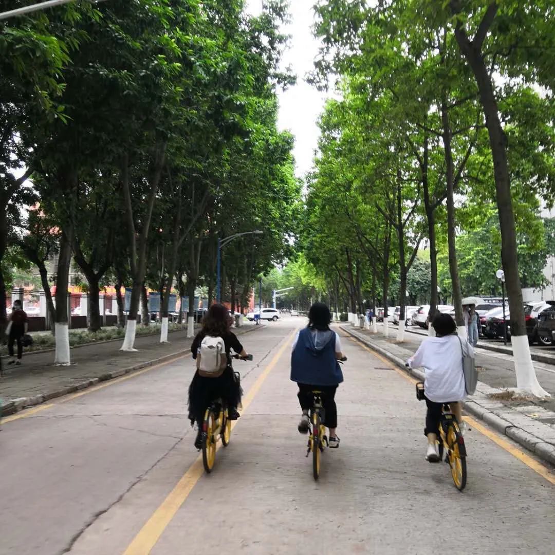 研究生生活的真实写照,工科研究生的日常写照