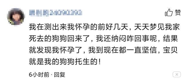 孕期胎梦预示着什么,怀孕妈妈胎梦预示什么