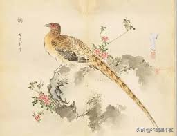 诗经中关于鸟的句子,诗经中寓意美好的鸟