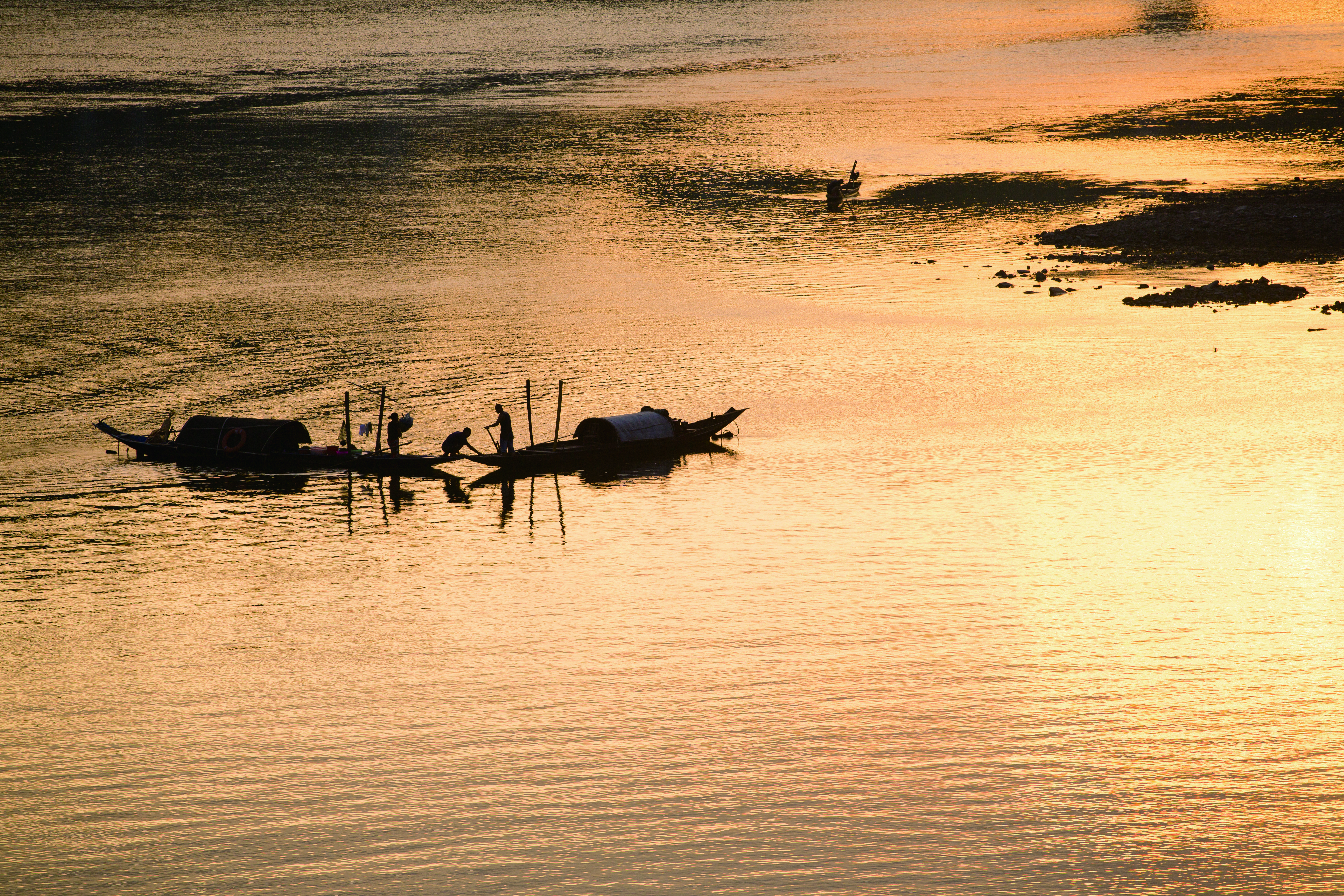 等一朵花开需要很多的耐心和微笑,等一朵花开经典句子