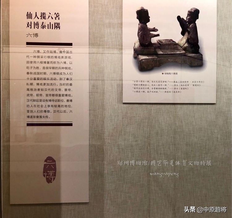古代的体育运动你知道多少？郑州博物馆看华夏体育*物文**特展