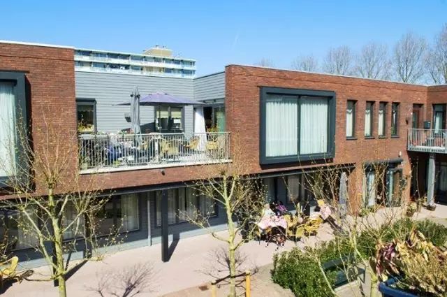 全球首家失忆小镇，所有居民都忘了自己是谁、来自哪里….