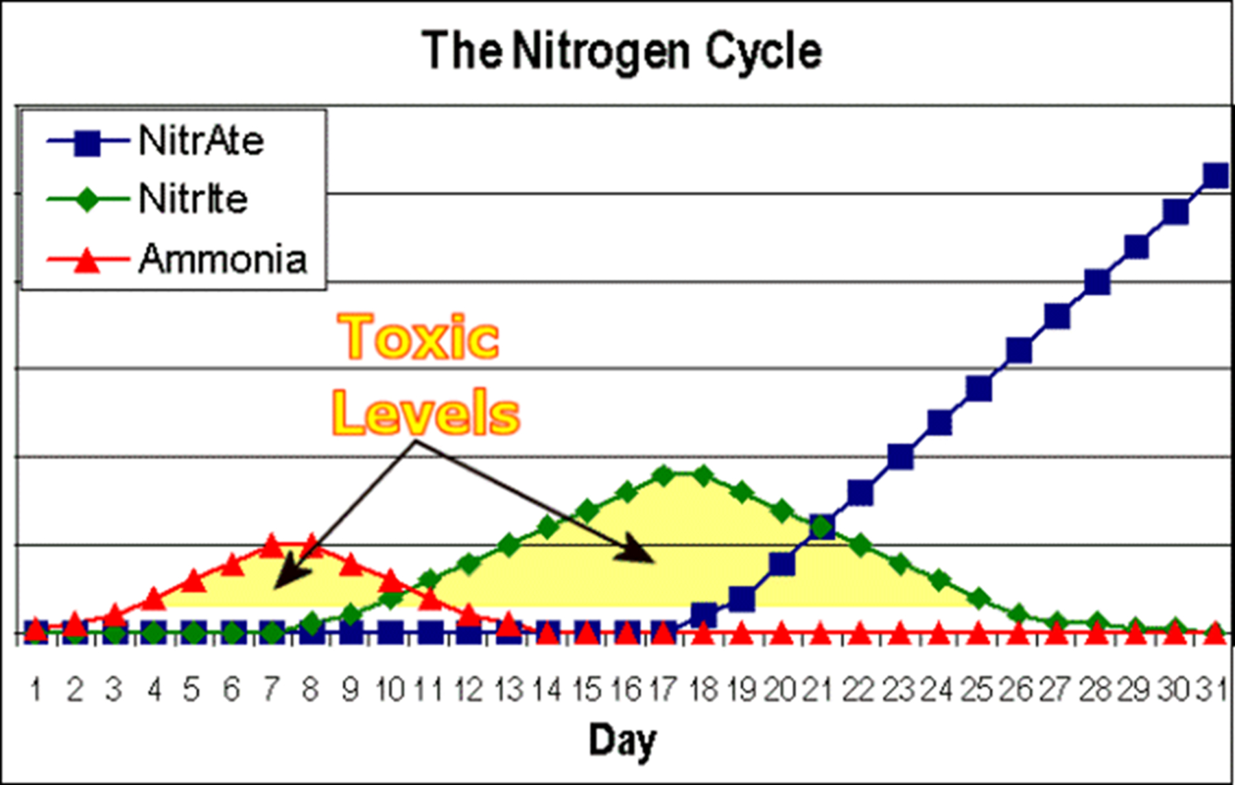 鱼缸开缸如何用硝化活菌养水教程,新缸养水期如何快速培养硝化菌
