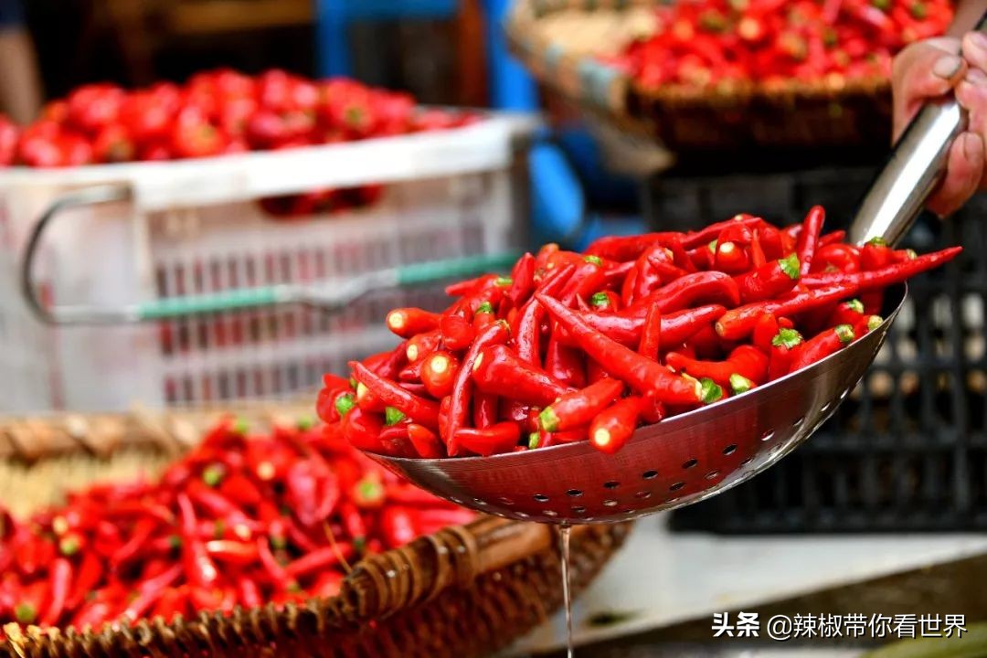 从西到东：贵州——沿河流“黔”行在这里一万种辣椒吃法向你奔来