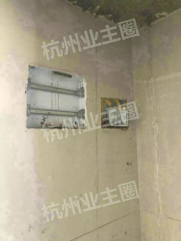 绿都什么意思,绿都包括哪些绿