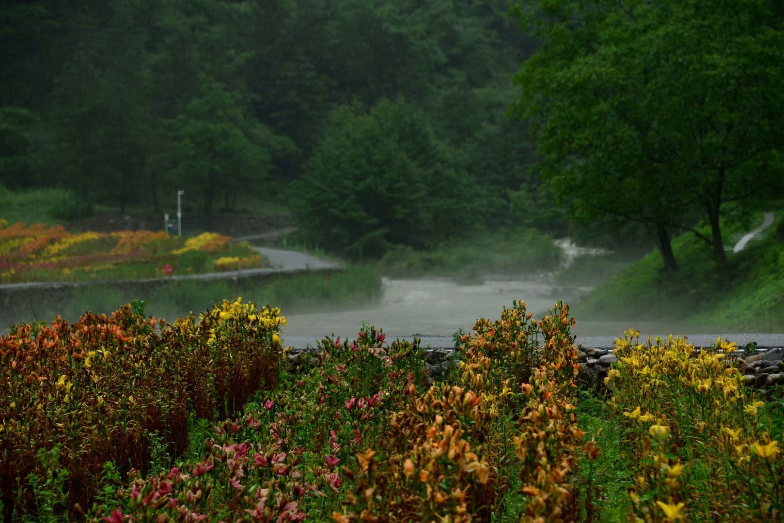 六月回忆童年,六月回忆母校