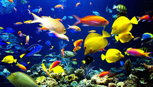 2018北京国庆旅游攻略图片大全,国庆北京旅游攻略视频大全