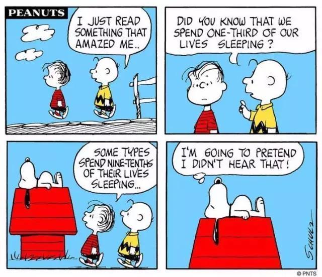 最会赚钱的狗排行榜,全世界最赚钱的狗