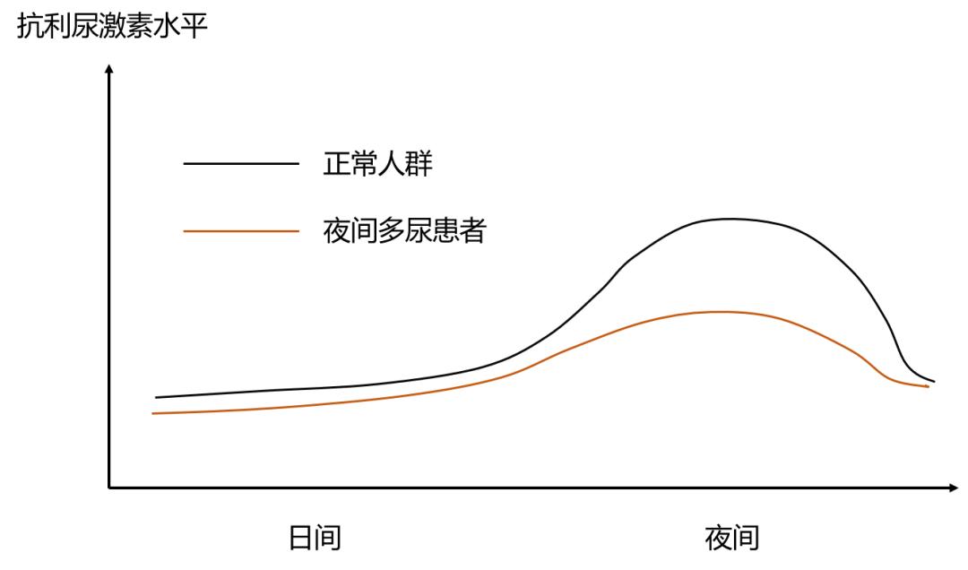 夜间多尿的诊断与治疗
