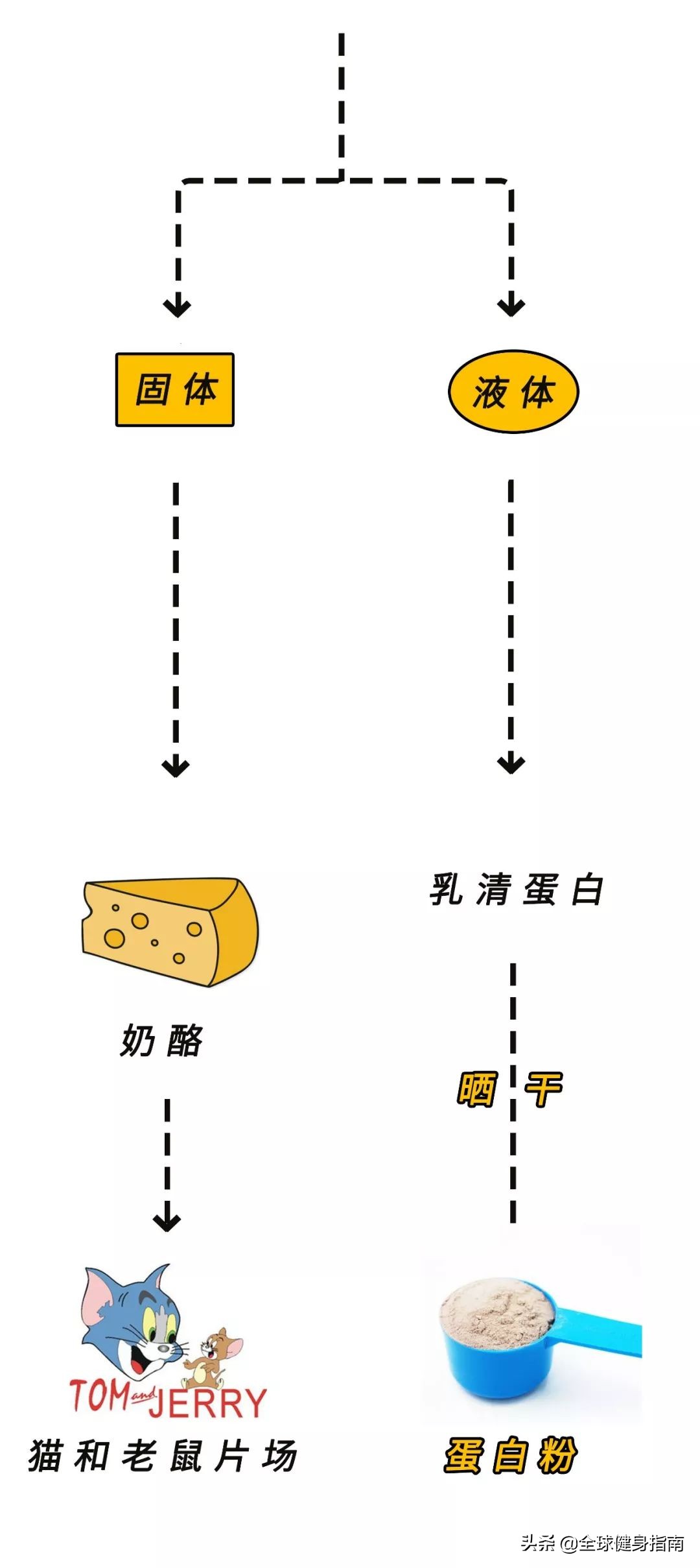 蛋白粉什么时候吃最好,蛋白粉怎样吃才是正确的