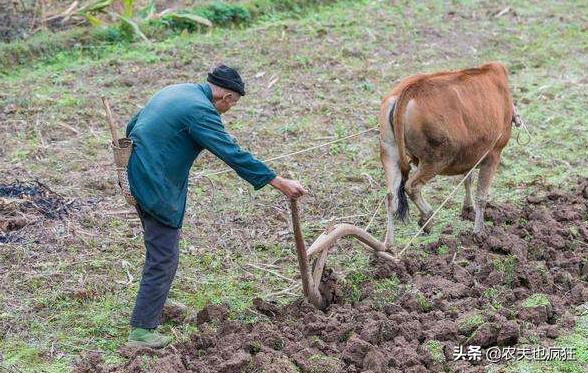 俗语“会生生在六月,会死死在腊月”啥意思?有道理吗?答案来了