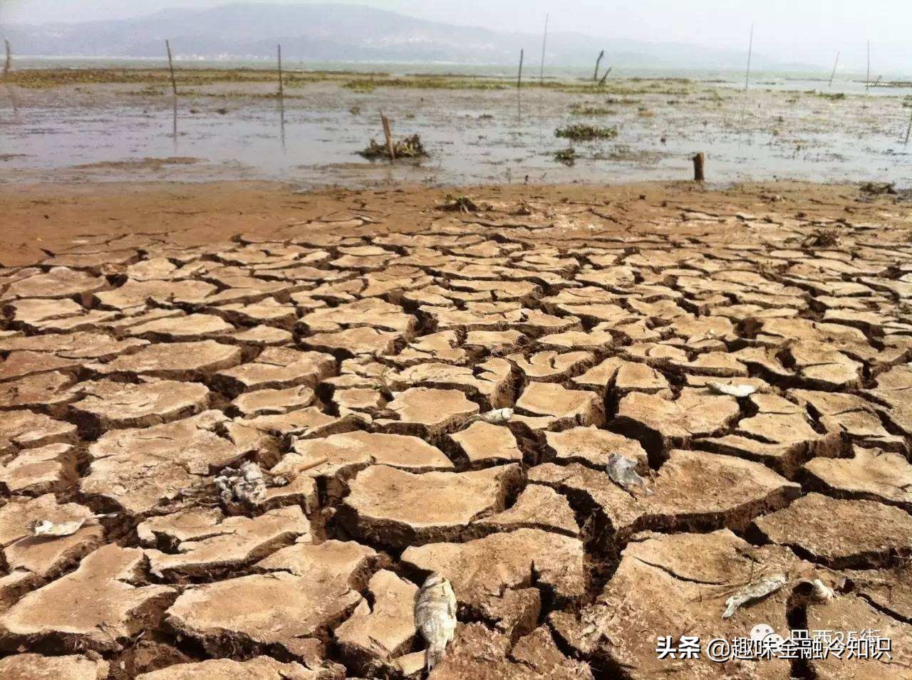 中国第一“70岁怪老头”林存伏——用3年从10万赚到410万