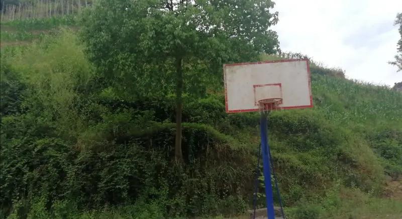 满怀赤子之心,再现抗疫攻坚精神——2020年阜新篮球学校全国U系列参赛队线上“体能大比武”活动纪实