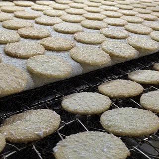 看旺旺的工厂，还以为来到了游乐园