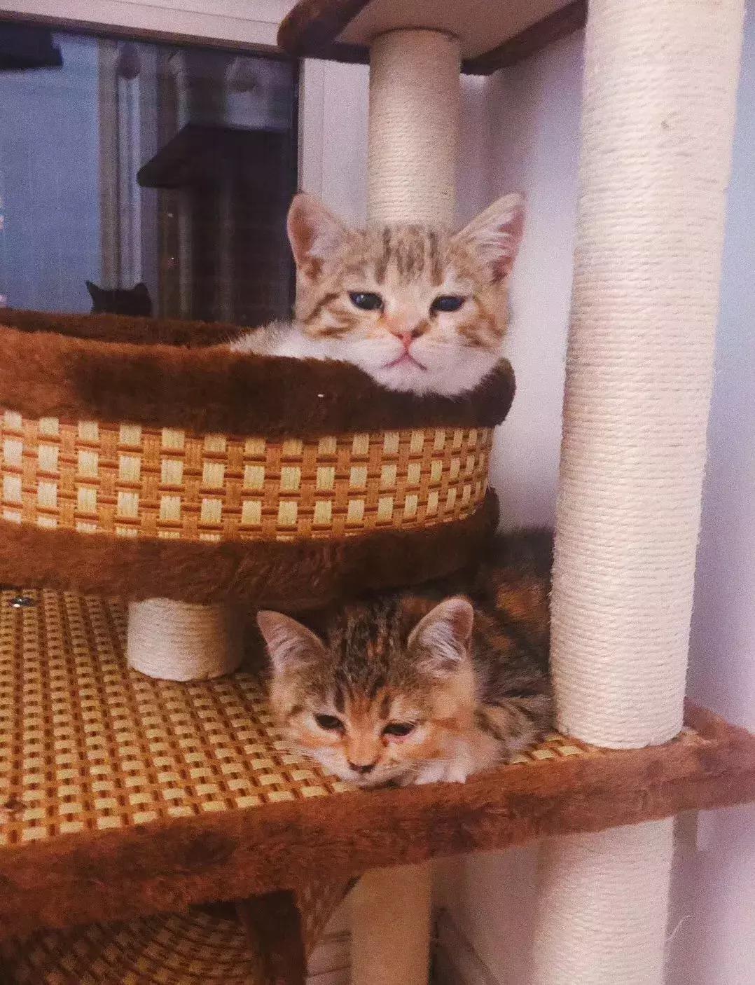 2018这半年你过的怎么样了,2018年的生活状态