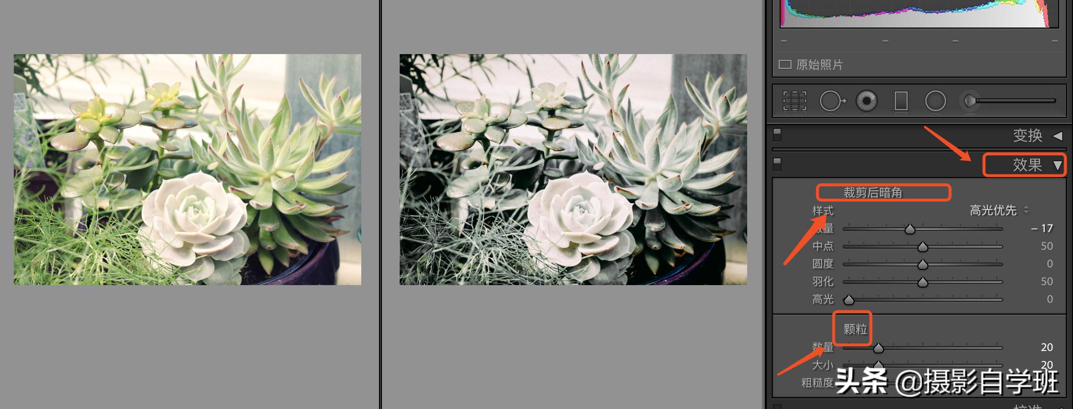 灰色显高级发色,高级灰风格照片的特点和调色方法